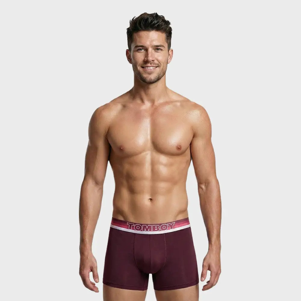 TOMBOY Men’s Retro-Sport Boxer Brief – Stripe print Waistband